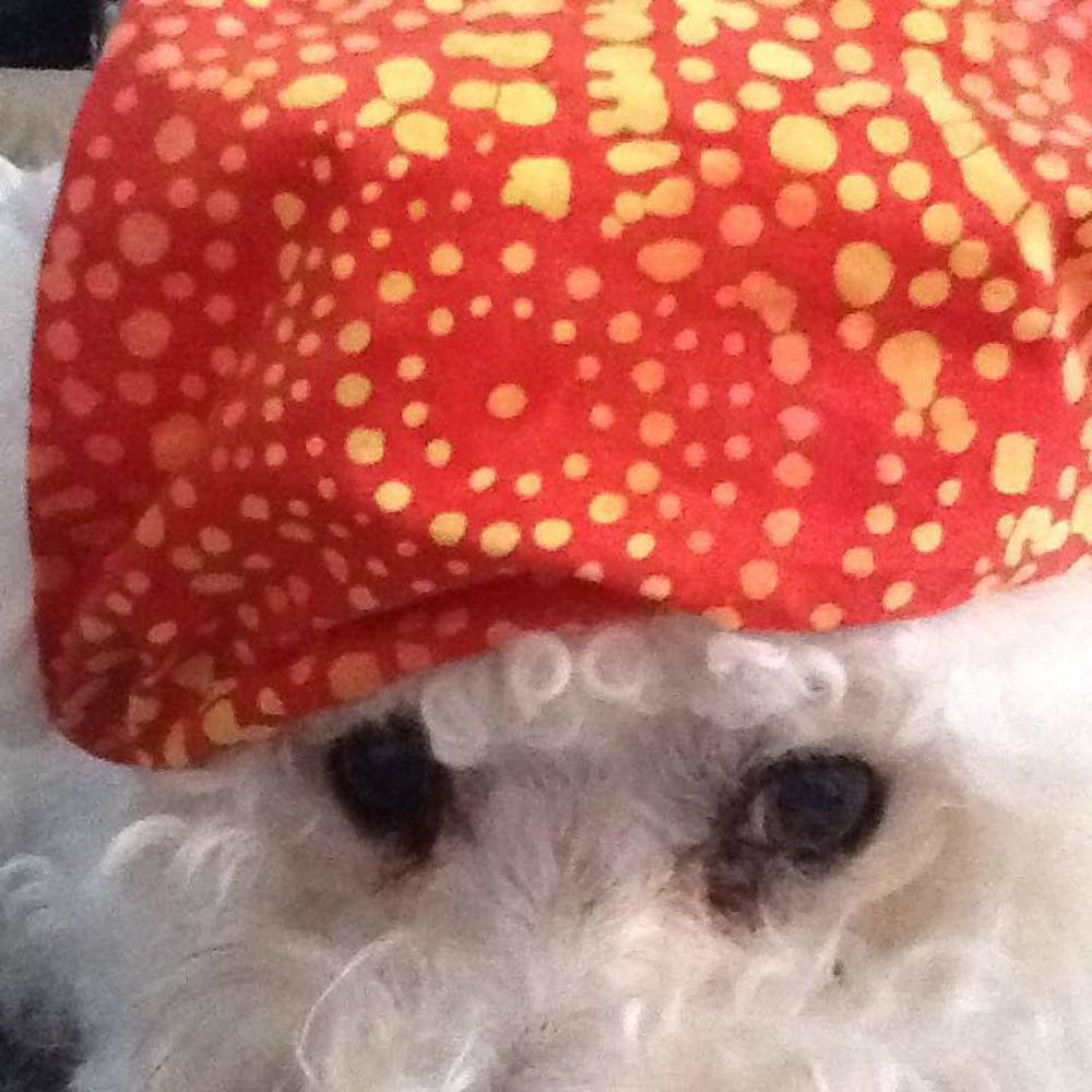 Meet your Posher, Judy